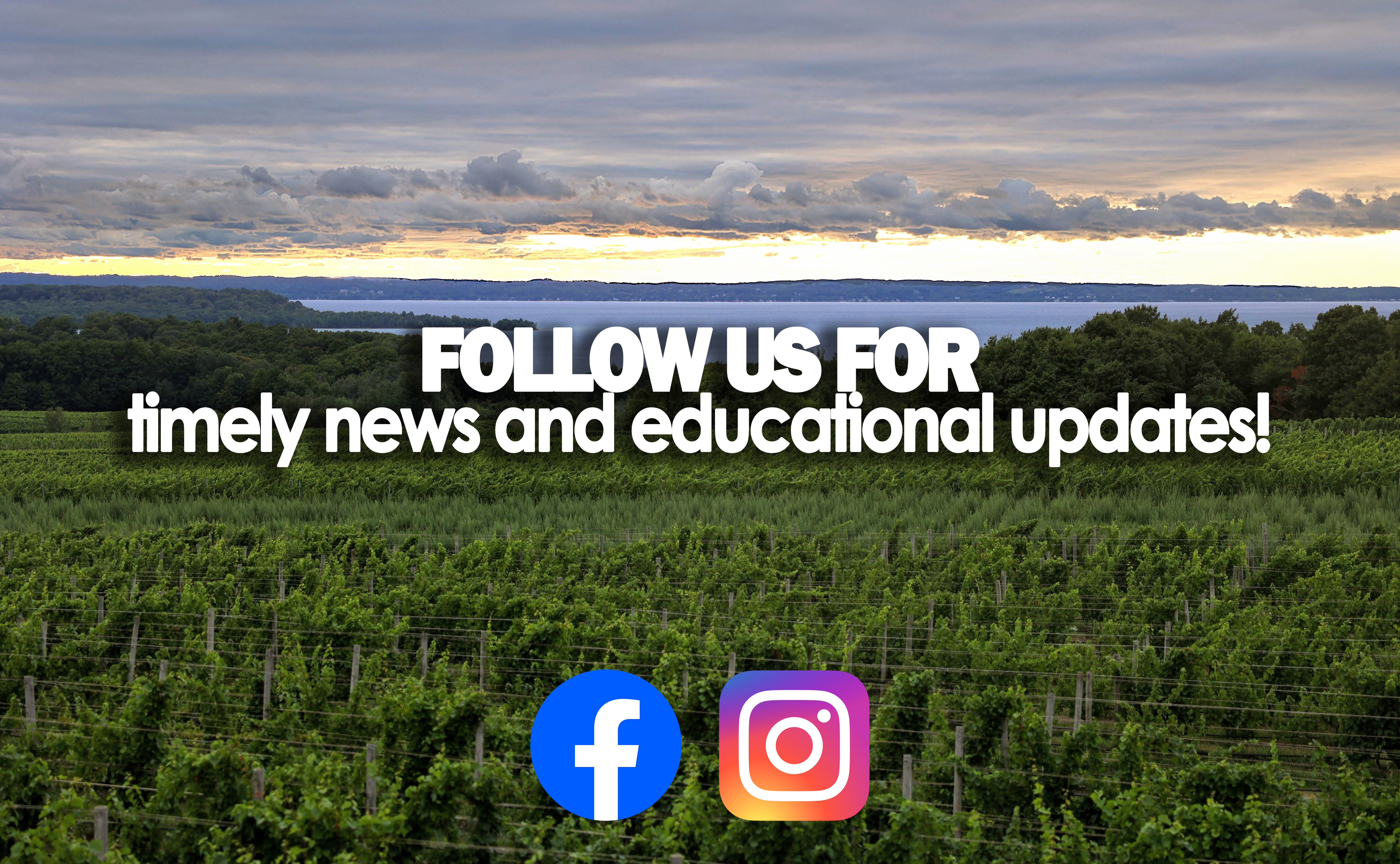 Grapes social graphics.jpg